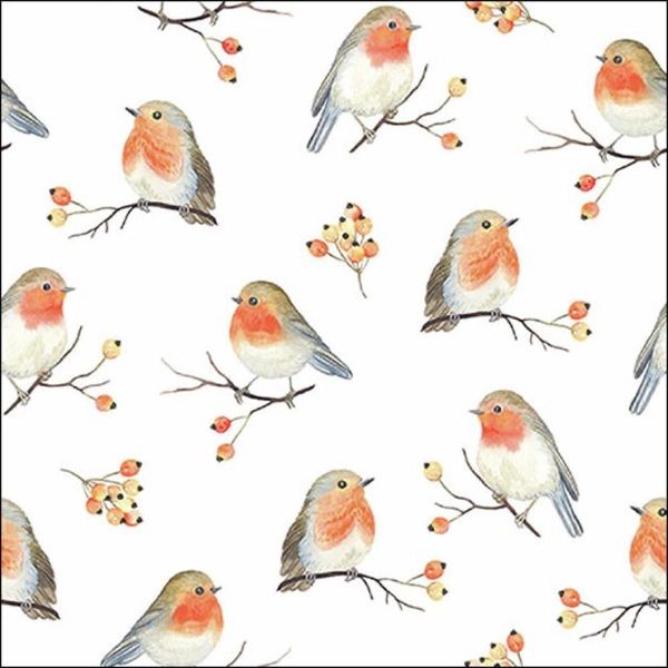 AMBIENTE | JULESERVIETTER ROBIN FAMILIY 