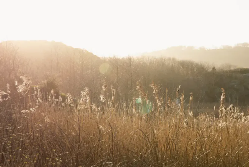 NEW MAGS | STILLNESS